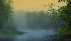 photo of a misty pond