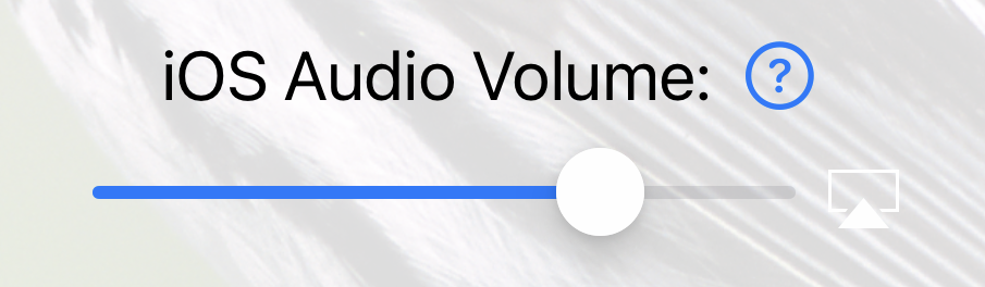 iOS Audio Volume UI